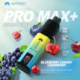 Hayati Pro Max plus 6000 Puffs Prefilled Pod Vape lueberry cherry cranberry flavor