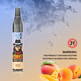 RandM Vase 600 Puffs Disposable Vape