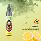RandM Vase 600 Puffs Disposable Vape
