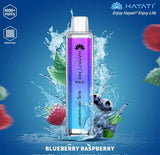 Hayati Pro Max 4000 Puffs Disposable Vape